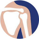 Shoulder joints
